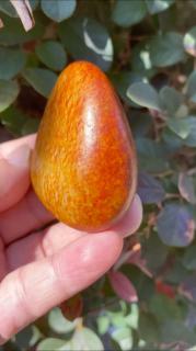 新鲜和田玛丽艳红皮白玉籽料原石!145.5克.58-55-30mm